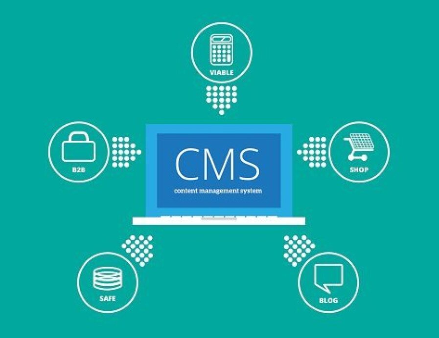 Tartalom és multisite kezelés