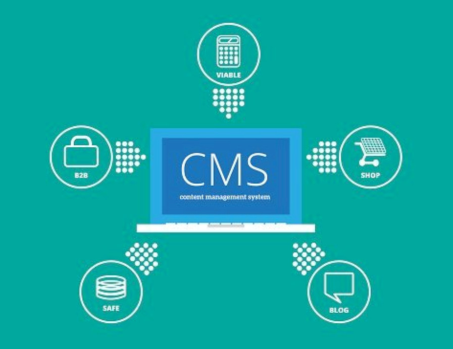 Tartalom és multisite kezelés