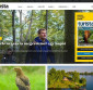 Turista magazin