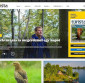 Turista magazin